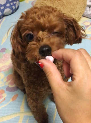 혀년쥬님이 올린 리뷰 사진 1