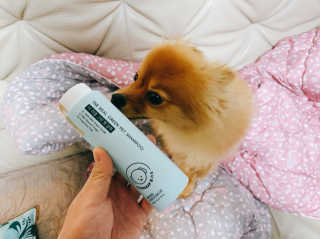 이대현님이 올린 리뷰 사진 1