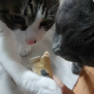 미애님이 올린 리뷰 사진 1