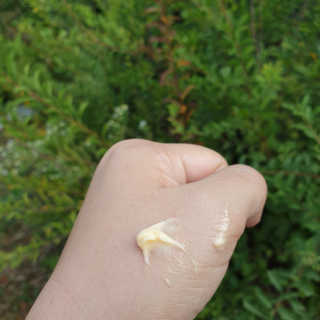 셔리홍님이 올린 리뷰 사진 4