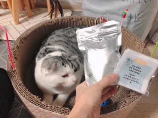 cobemom님이 올린 리뷰 사진 2