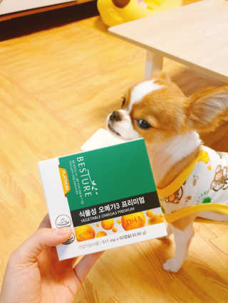 꼬몽쓰님이 올린 리뷰 사진 1