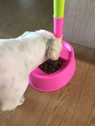MiSeonSoraKim님이 올린 리뷰 사진 1