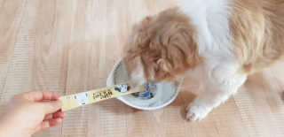 [펫토리아]짜먹는 한입뚝딱 강아지.고양이 마약간식 — 3점을 준 리뷰어가 2019년 8월 올린 사용 사진