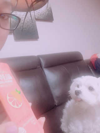 쭈리미~~님이 올린 리뷰 사진 3