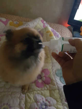 KyoungmiSong님이 올린 리뷰 사진 3