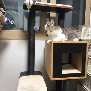 라라쓰님이 올린 리뷰 사진 2