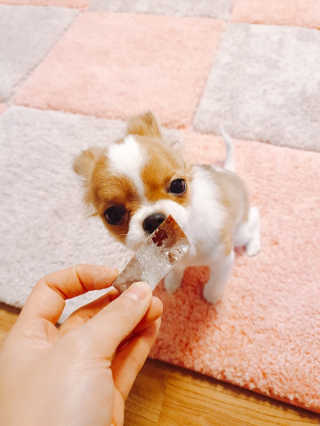 꼬몽이님이 올린 리뷰 사진 1