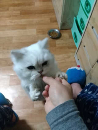 이윤희님이 올린 리뷰 사진 2