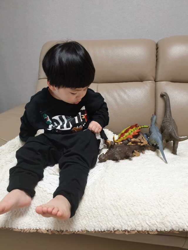 공룡, 마블 트레이닝 세트 리뷰 사진