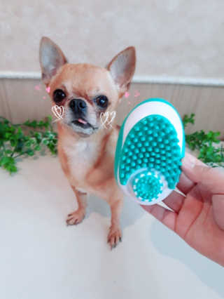 삼공주네님이 올린 리뷰 사진 3