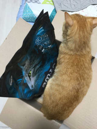 라멜님이 올린 리뷰 사진 3