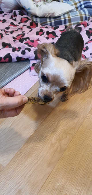포포맘님이 올린 리뷰 사진 3