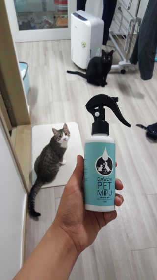 momomom님이 올린 리뷰 사진 1
