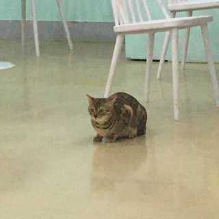 함니님이 올린 리뷰 사진 1