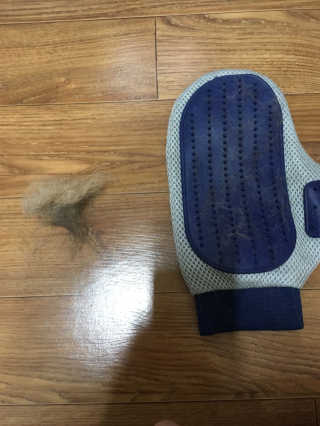 arian님이 올린 리뷰 사진 1