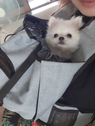 윤히포님이 올린 리뷰 사진 1