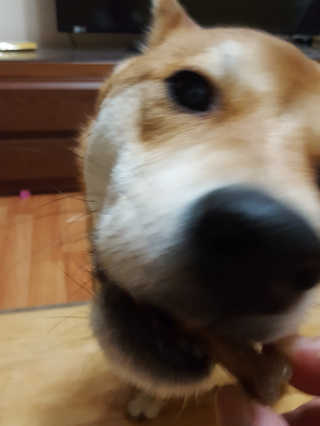 컴백08리터님이 올린 리뷰 사진 3