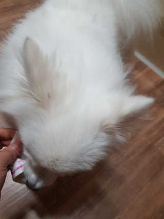 LeeKyungjin님이 올린 리뷰 사진 4
