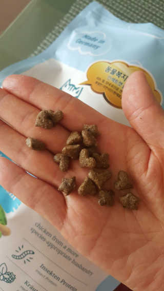 그린펫푸드 인섹트캣 글루텐프리（1.2KG） — 5점을 준 리뷰어가 2019년 7월 올린 사용 사진