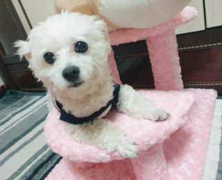 은혜eh님이 올린 리뷰 사진 2