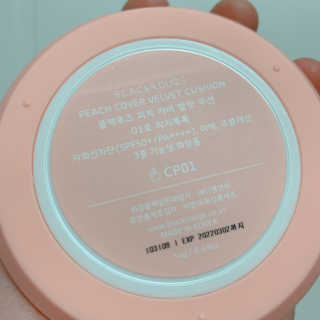 [블랙루즈] 피치 커버 벨벳 쿠션 2종 중 택1 — 5점을 준 리뷰어가 2019년 9월 올린 사용 사진