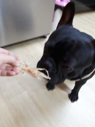 토르맘님이 올린 리뷰 사진 4