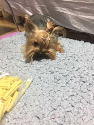 이미경님이 올린 리뷰 사진 4
