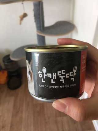 펫토리아 한캔뚝딱 best 강아지캔,고양이주식캔 — 4점을 준 리뷰어가 2019년 6월 올린 사용 사진