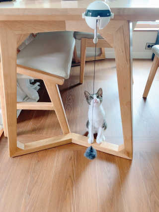 hyoya님이 올린 리뷰 사진 2