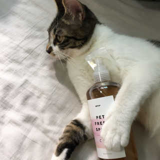 긴힝님이 올린 리뷰 사진 2