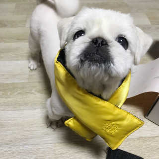 쥬쥬님이 올린 리뷰 사진 3