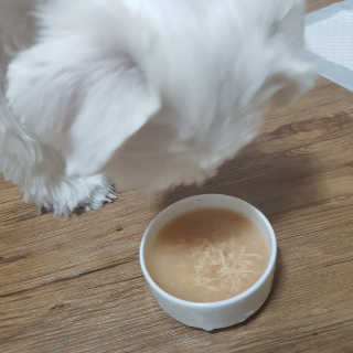 [펫토리아] 토로토로 하치  강아지간식 수프 6종 — 5점을 준 리뷰어가 2019년 9월 올린 사용 사진