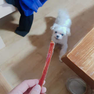 [펫토리아] 뚝딱뚝딱 400g 강아지 간식 베스트5종 — 5점을 준 리뷰어가 2019년 1월 올린 사용 사진