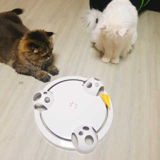 Isabelle Lee님이 올린 리뷰 사진 4