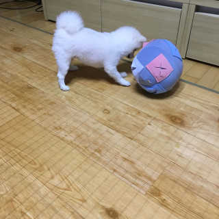 윤보라님이 올린 리뷰 사진 4