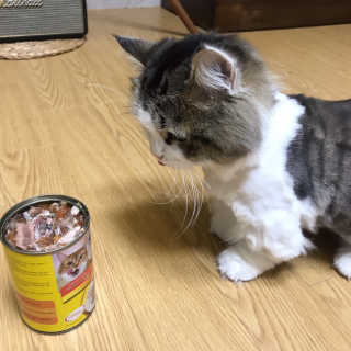 라라쓰님이 올린 리뷰 사진 1