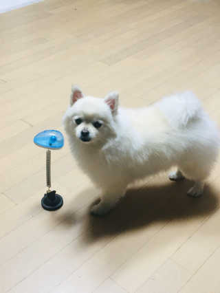 김수정님이 올린 리뷰 사진 1