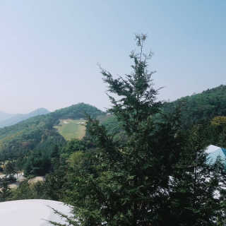뚜시님이 올린 리뷰 사진 3