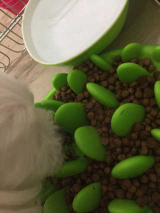 홍지윤님이 올린 리뷰 사진 1