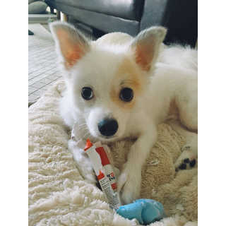 SeungYeonSeo님이 올린 리뷰 사진 1
