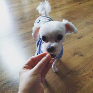 leinis님이 올린 리뷰 사진 2