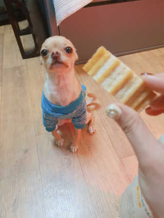 Juava님이 올린 리뷰 사진 1