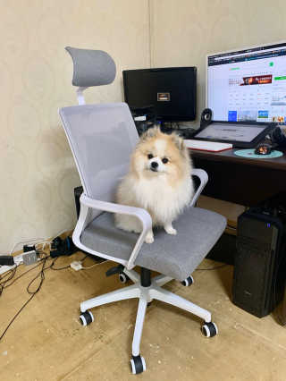 오아희님이 올린 리뷰 사진 3