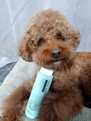 테딩님이 올린 리뷰 사진 1
