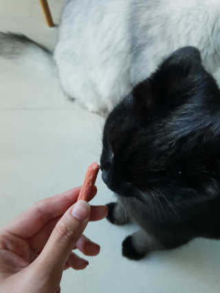필쏘굿님이 올린 리뷰 사진 2