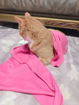 하린님이 올린 리뷰 사진 3