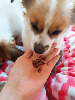 정은님이 올린 리뷰 사진 2