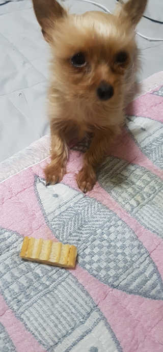 렌냥님이 올린 리뷰 사진 2
