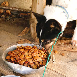 김은채님이 올린 리뷰 사진 1